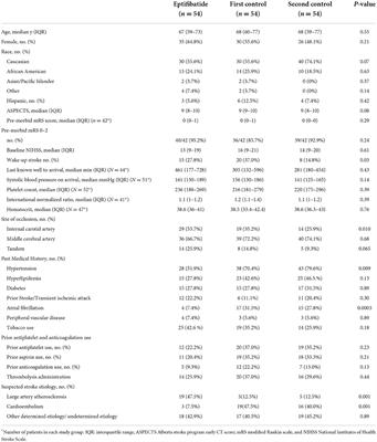 Eptifibatide use in ischemic stroke patients undergoing endovascular thrombectomy: A matched cohort analysis